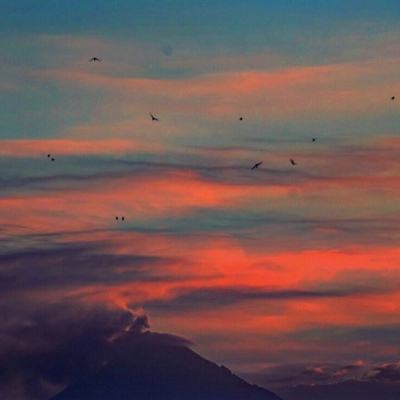 爆兽猎人之龙魂觉醒破解版下载